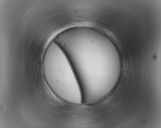 X0000111231184200907021016