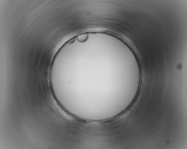 X0000111231186200907021016