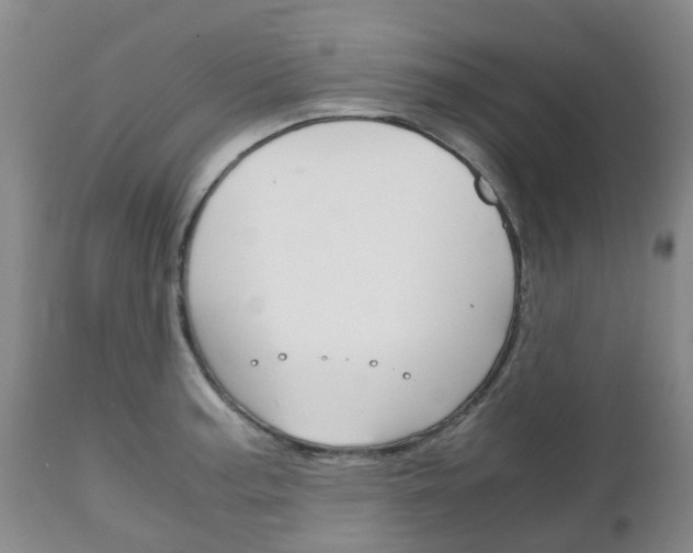 X0000111231187200907021016