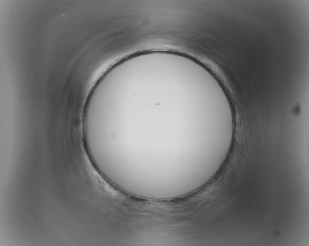 X0000111231191200907021016