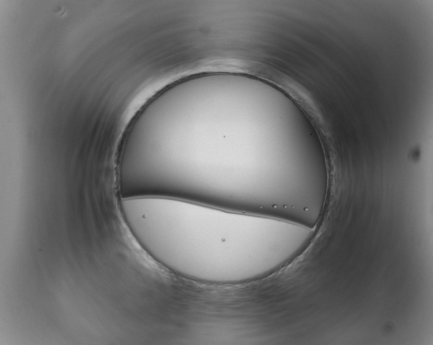 X0000111231192200907021016