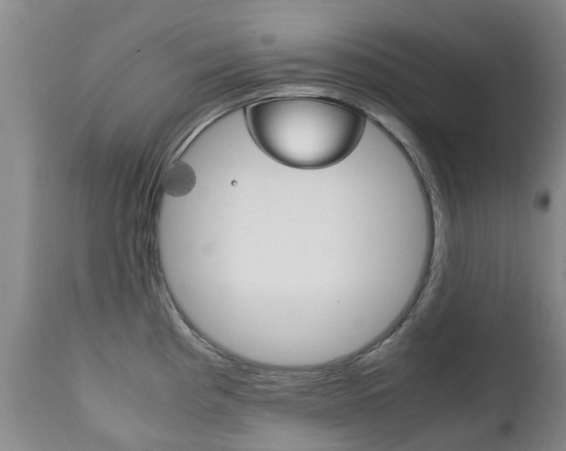 X0000111231193200907021016