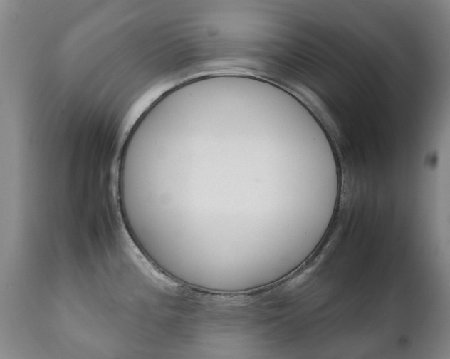 X0000111231196200907021016