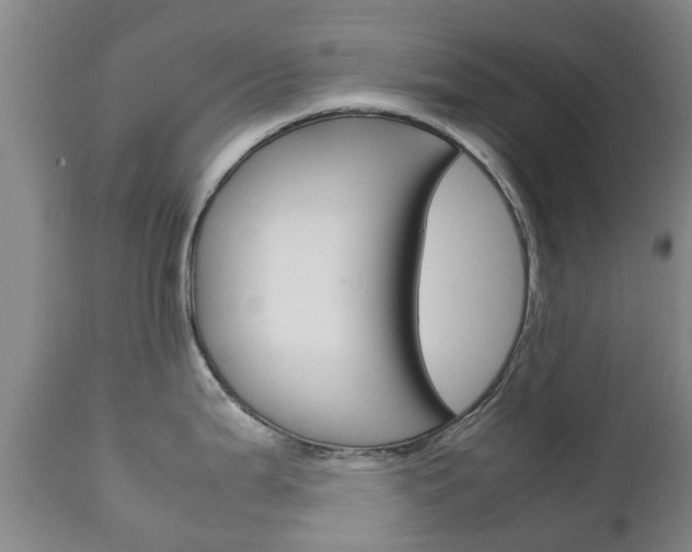 X0000111231199200907021016