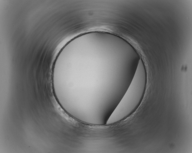 X0000111231200200907021016