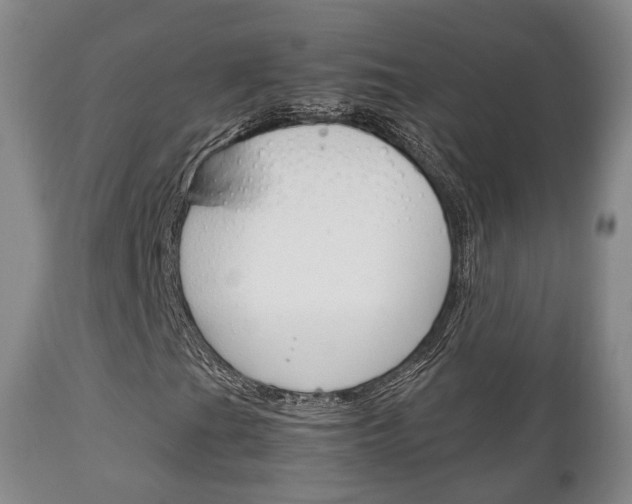 X0000111231201200907021015