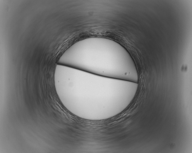 X0000111231202200907021015