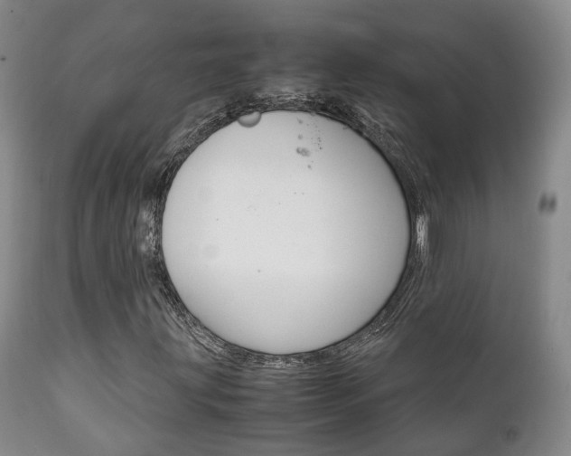 X0000111231203200907021015