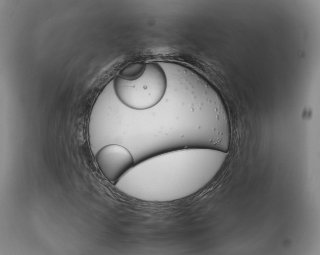 X0000111231205200907021015