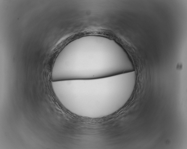 X0000111231206200907021015