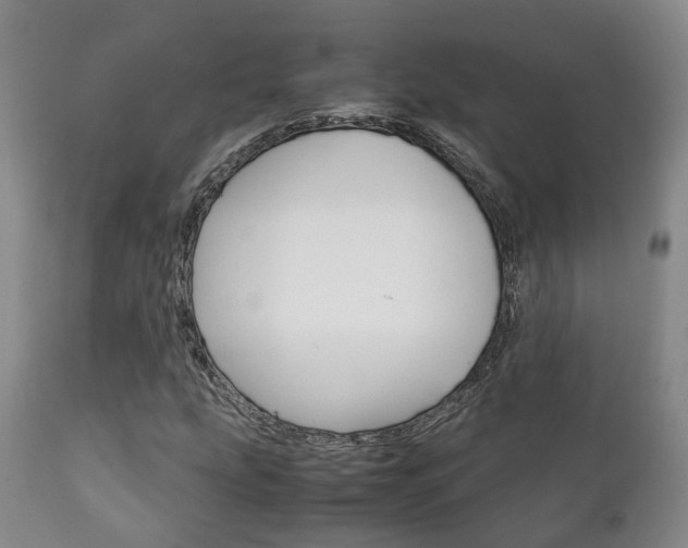 X0000111231207200907021015