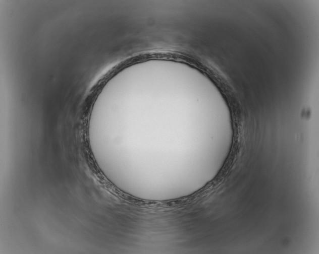 X0000111231208200907021015