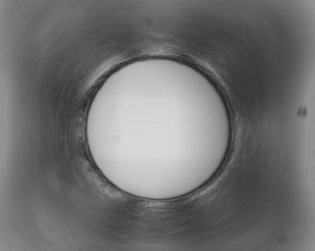 X0000111231211200907021015