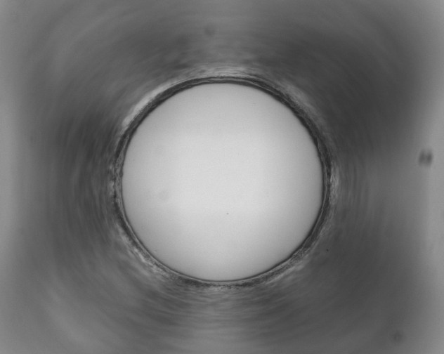 X0000111231212200907021015