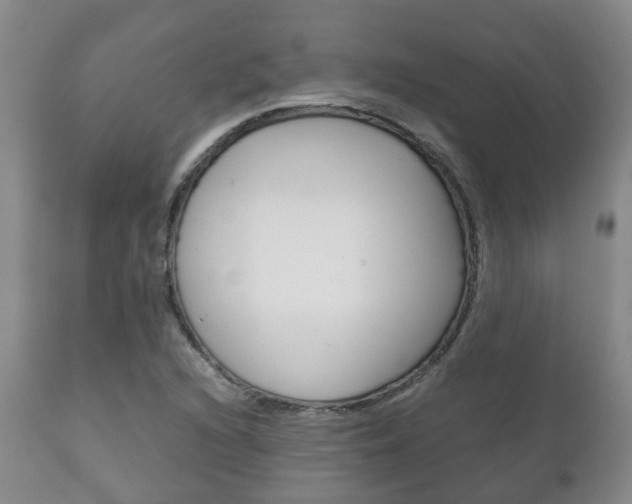 X0000111231216200907021015