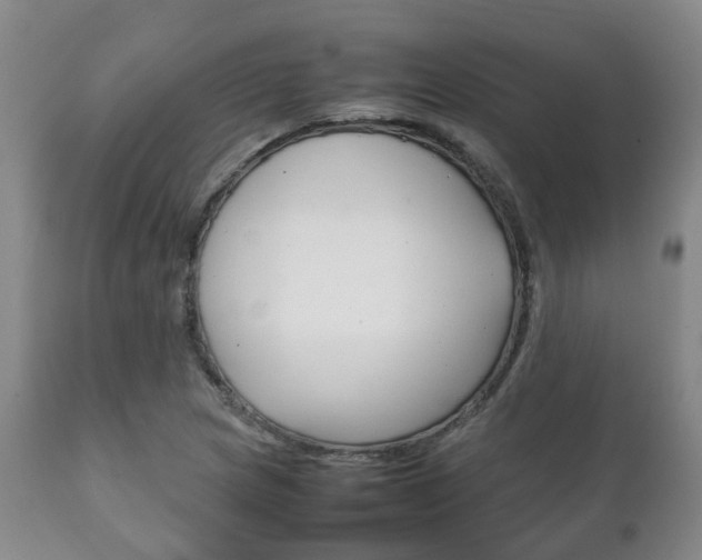 X0000111231217200907021015