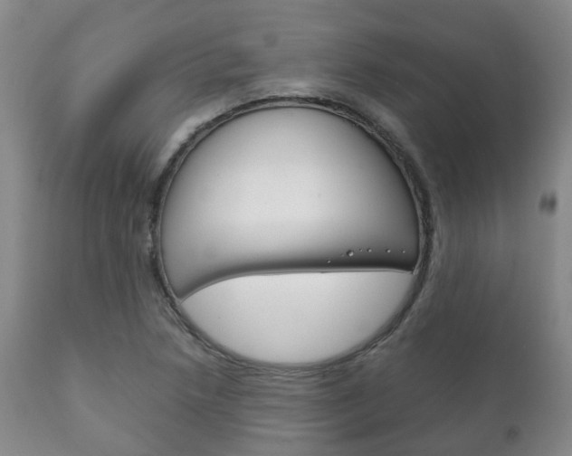 X0000111231218200907021015