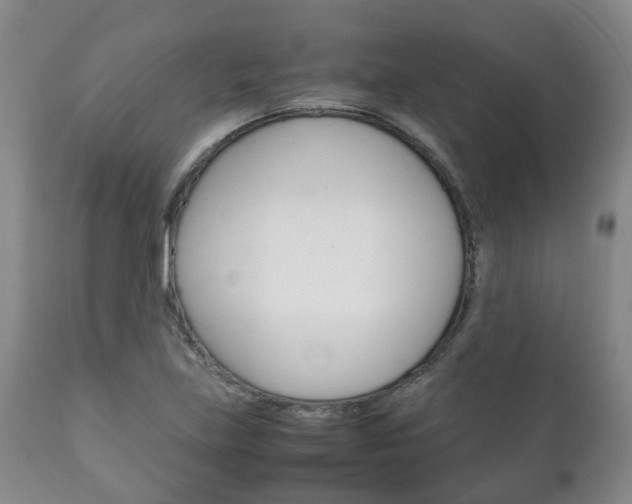 X0000111231219200907021015