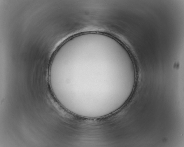 X0000111231220200907021015
