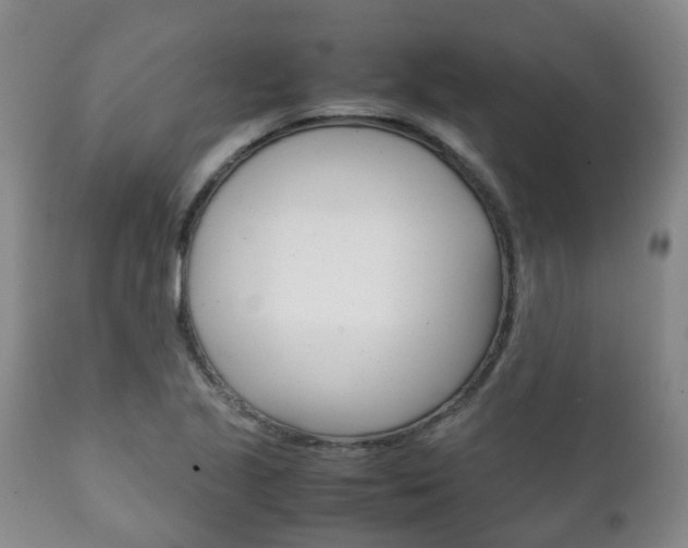 X0000111231221200907021015
