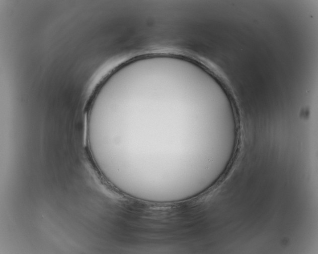 X0000111231223200907021015