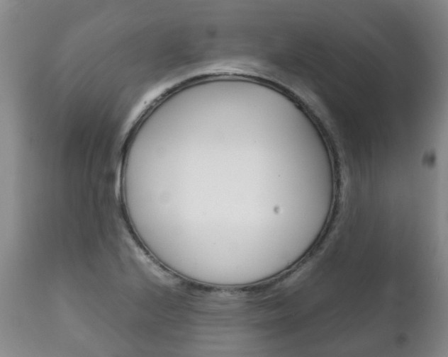 X0000111231224200907021015