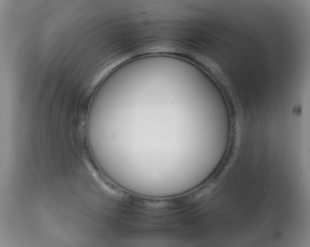 X0000111231225200907021015