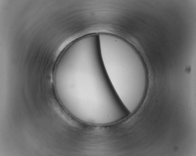 X0000111231226200907021015