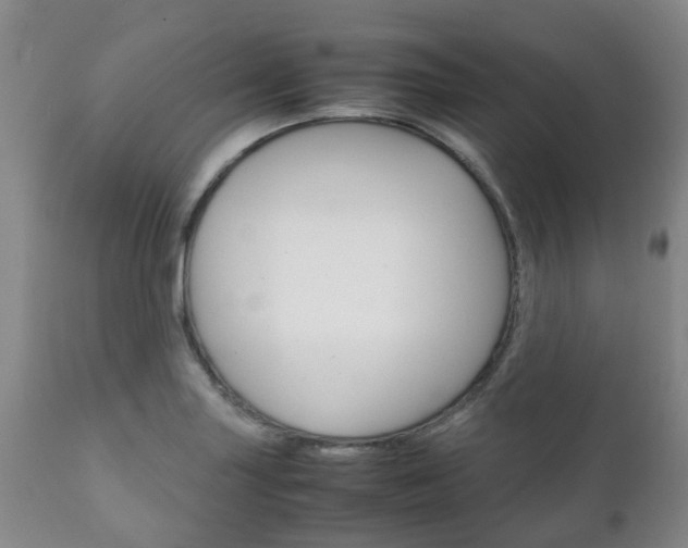 X0000111231227200907021015