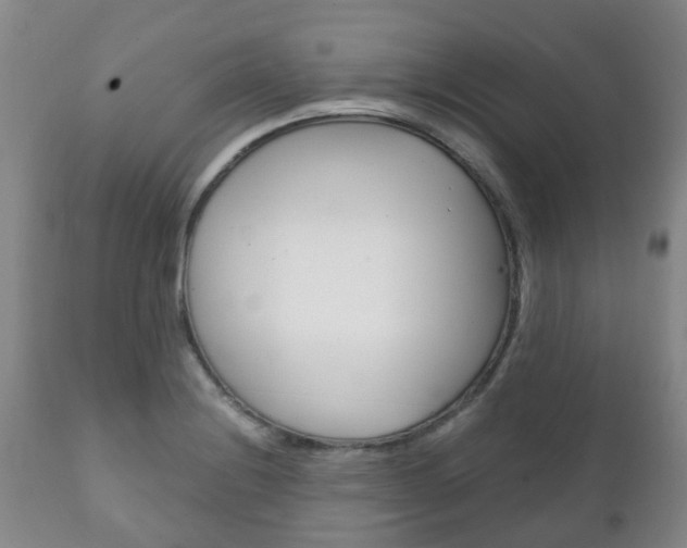 X0000111231228200907021015