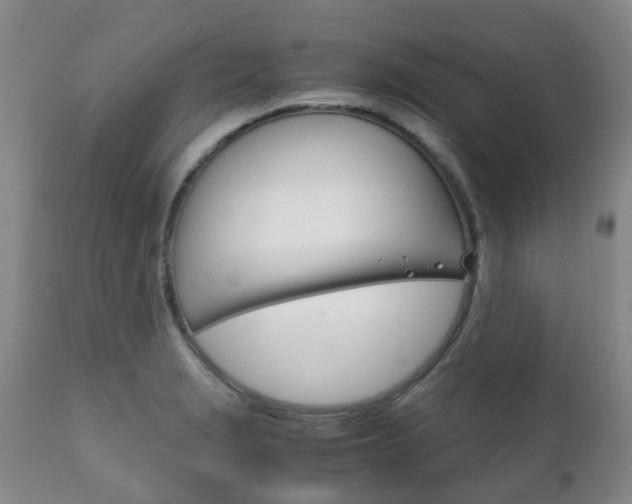 X0000111231229200907021015