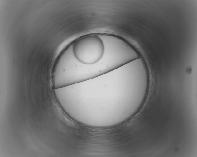 X0000111231230200907021015