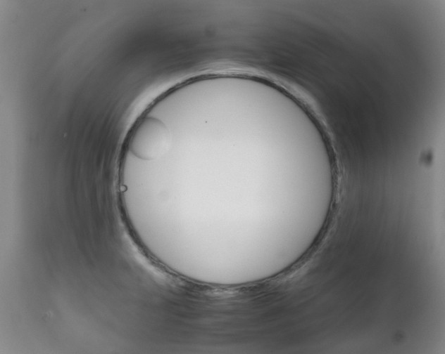 X0000111231231200907021015