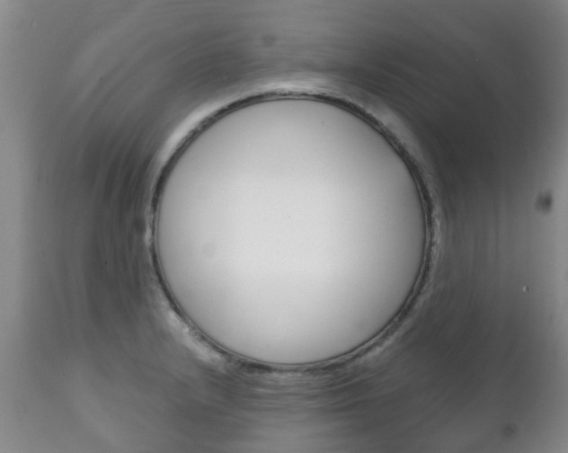 X0000111231232200907021015