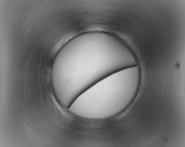 X0000111231233200907021015