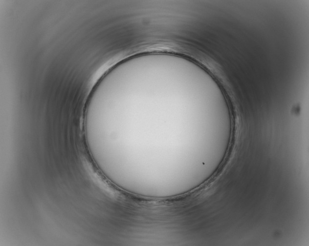 X0000111231234200907021015
