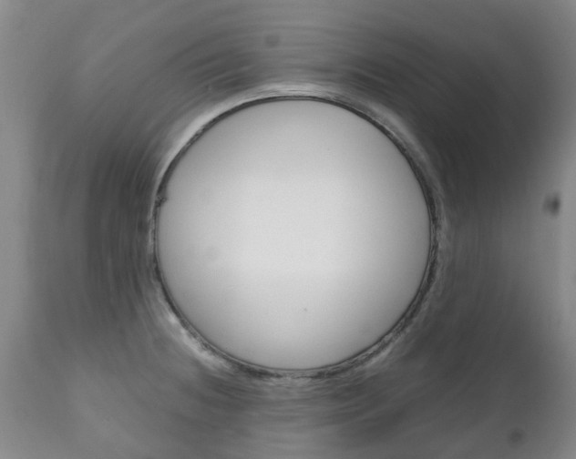 X0000111231236200907021015
