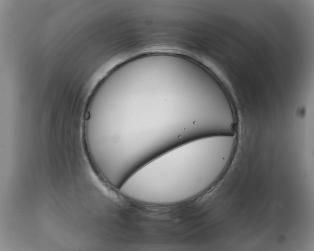 X0000111231237200907021015