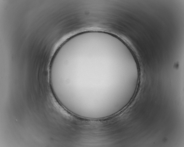 X0000111231238200907021016