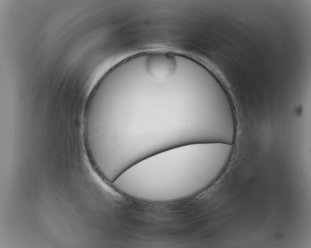 X0000111231239200907021016