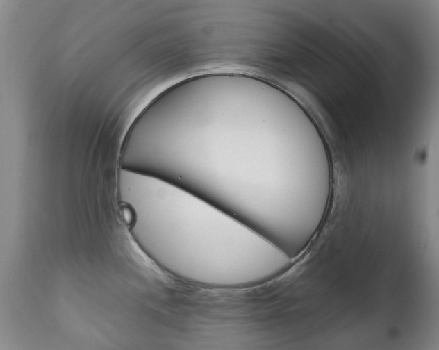 X0000111231244200907021016