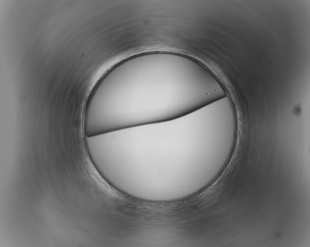 X0000111231246200907021016