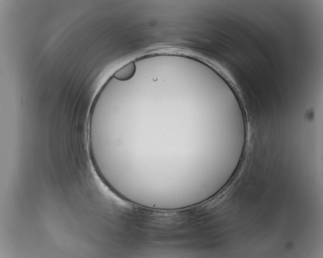 X0000111231247200907021016