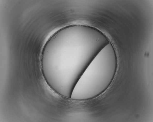 X0000111231248200907021016