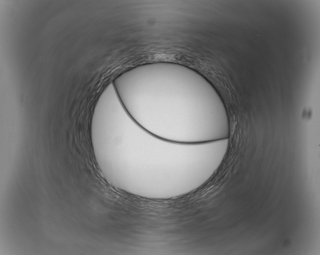 X0000111231249200907021015