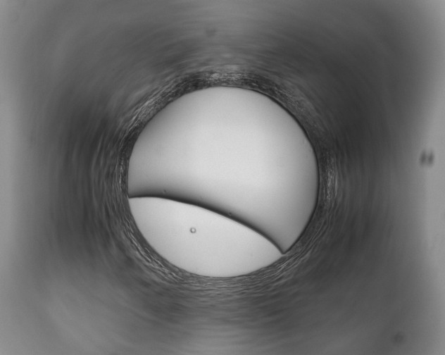 X0000111231250200907021015