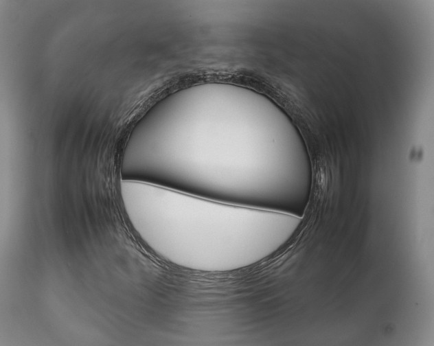 X0000111231252200907021015