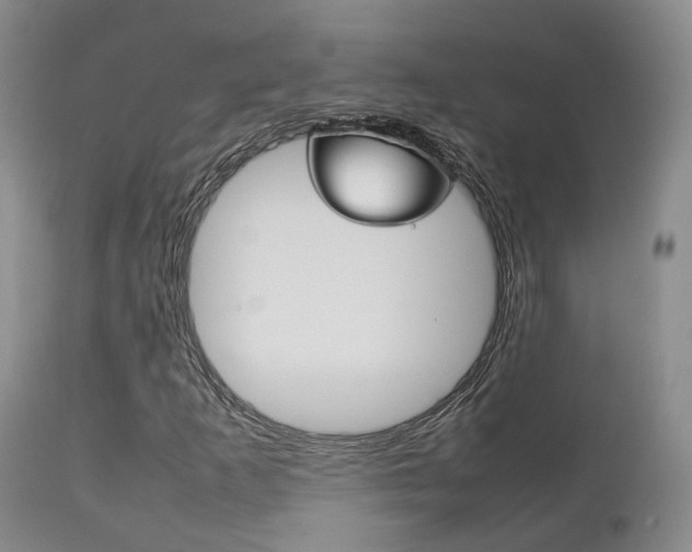 X0000111231253200907021015