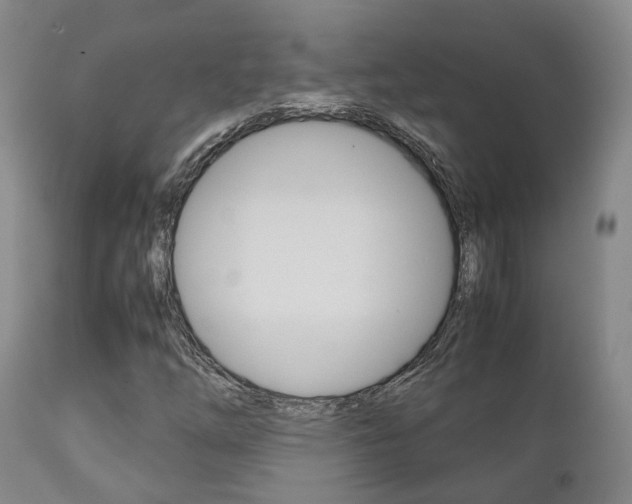 X0000111231254200907021015