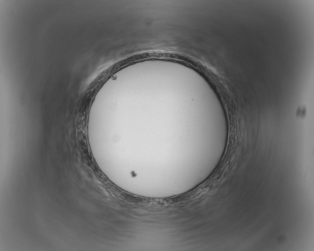 X0000111231255200907021015